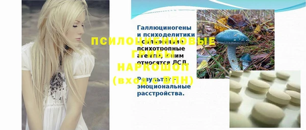 a pvp Горно-Алтайск