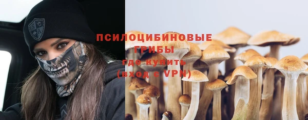 ГАЛЛЮЦИНОГЕННЫЕ ГРИБЫ Горнозаводск