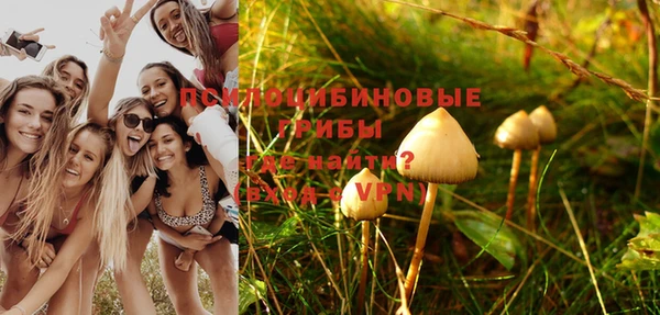 ГАЛЛЮЦИНОГЕННЫЕ ГРИБЫ Горнозаводск