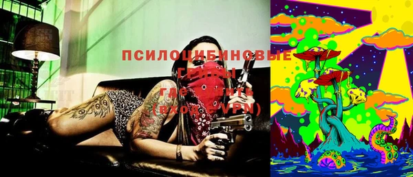 ГАЛЛЮЦИНОГЕННЫЕ ГРИБЫ Горнозаводск