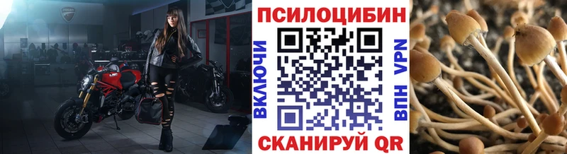 Псилоцибиновые грибы MAGIC MUSHROOMS  KRAKEN как войти  Ессентукская 